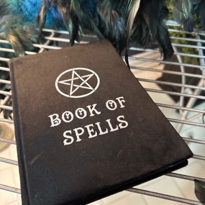 Book of Spells – Velvet Black Witch’s Journal